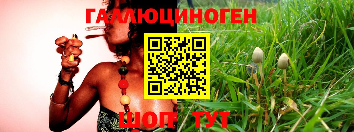 Галлюциногенные грибы Psilocybe  Вход с VPN  Рассказово 